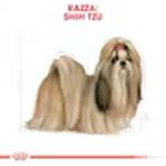 Royal-Canin-Shih-Tzu-Adult-5.jpg