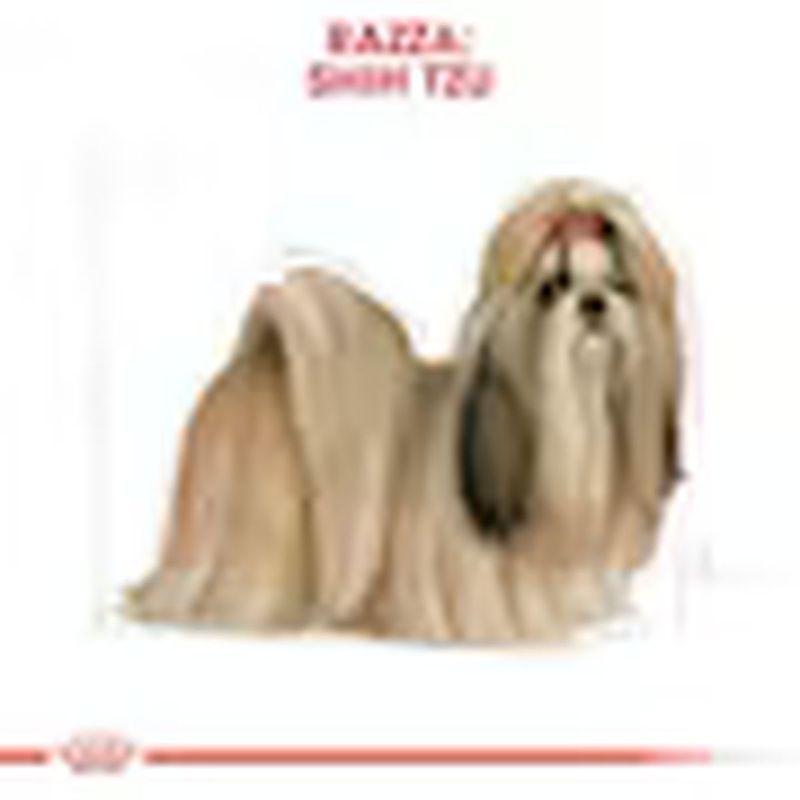 Royal-Canin-Shih-Tzu-Adult-5.jpg