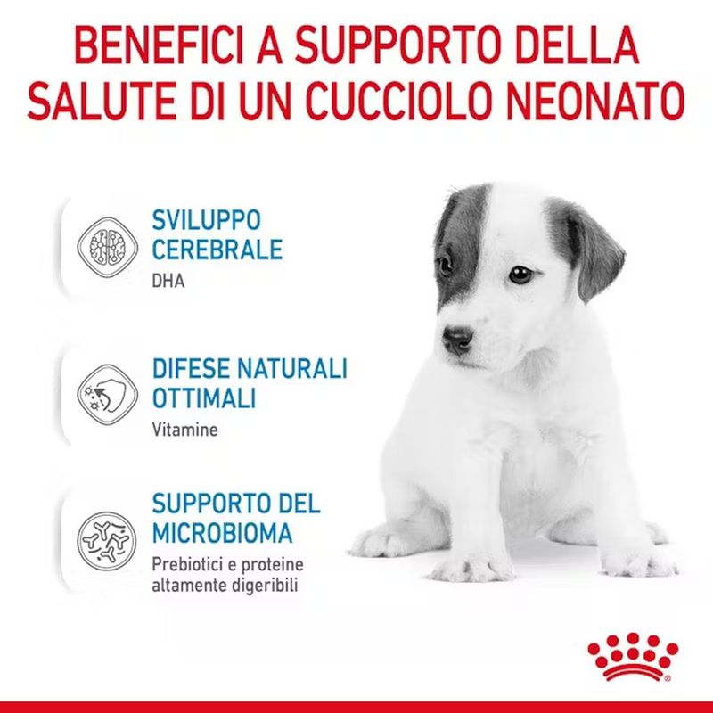 rc-chn-babydogmilk-2kg-cv-4-it-it-pdf_risultato.jpg