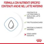 rc-chn-babydogmilk-2kg-cv-3-it-it-pdf_risultato.jpg