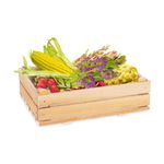 real-nature-mangime-per-criceti-10146072.jpg