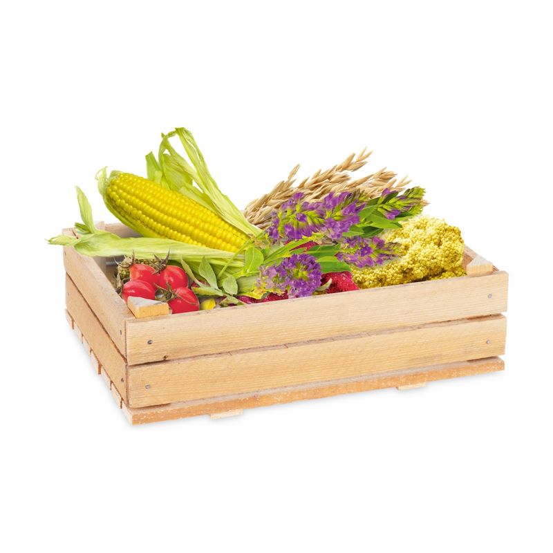 real-nature-mangime-per-criceti-10146072.jpg