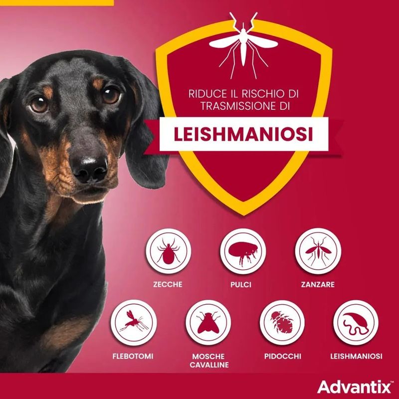 Advantix-Spot-On-Cane-10-25Kg-1000000000803-3_risultato.jpg