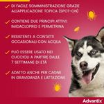 Advantix-Spot-On-Cane-10-25Kg-1000000000803-4_risultato.jpg