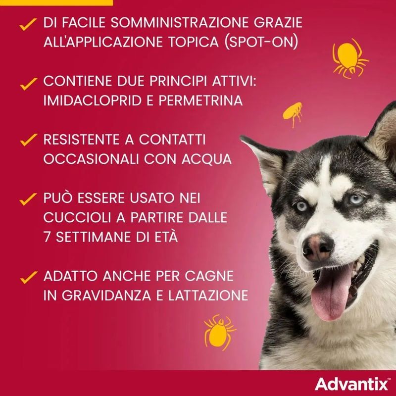 Advantix-Spot-On-Cane-10-25Kg-1000000000803-4_risultato.jpg