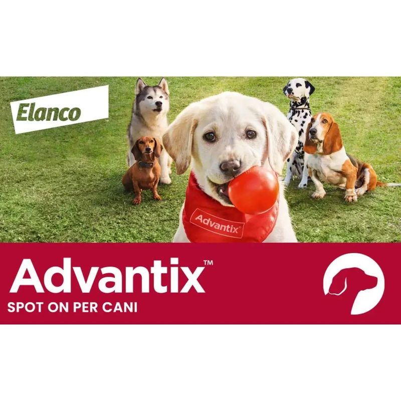 Advantix-Spot-On-Cane-10-25Kg-1000000000803-7_risultato.jpg