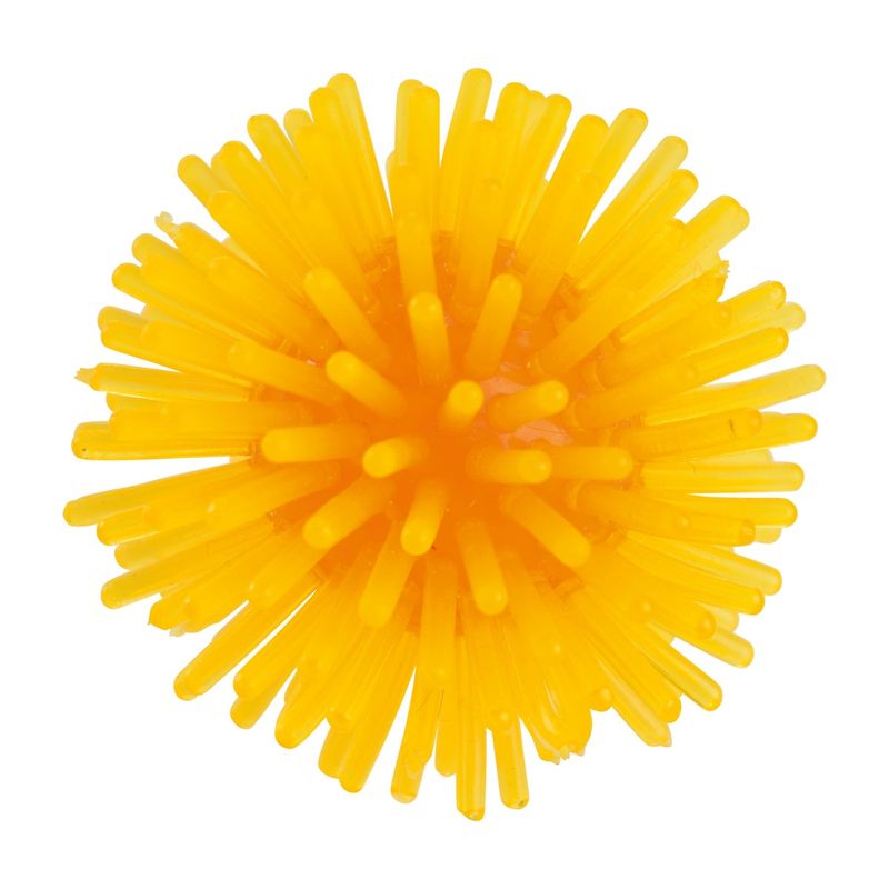 fit-and-fun-palline-riccio-10149191 -2-.jpg