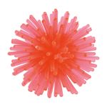 fit-and-fun-palline-riccio-10149191 -3-.jpg
