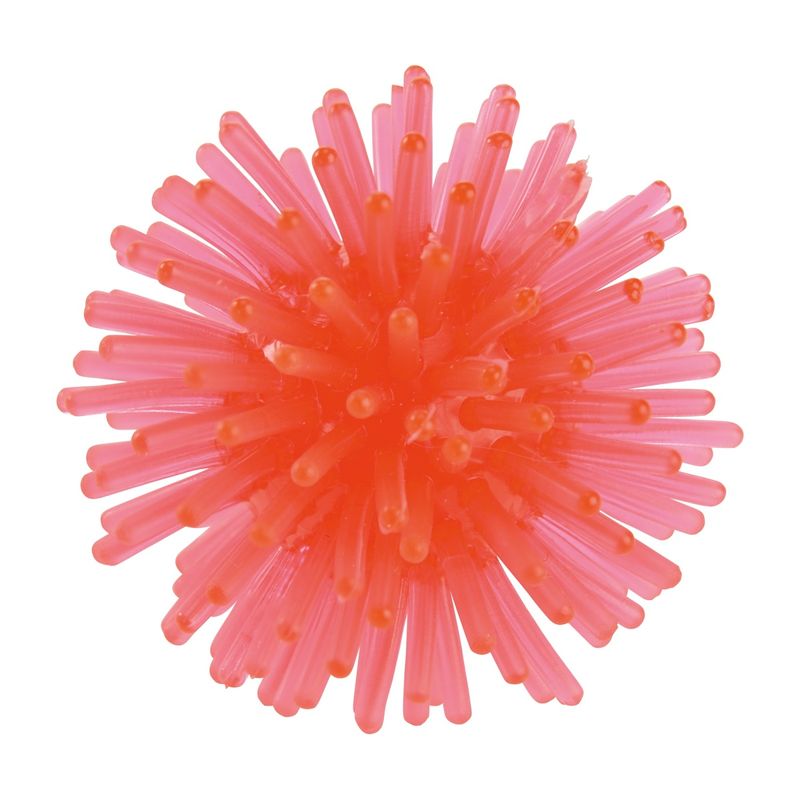 fit-and-fun-palline-riccio-10149191 -3-.jpg
