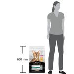 kit-risparmio-2x10kg-purina-pro-plan-cat-adult-renal-plus-1000000000890-3_risultato.jpg