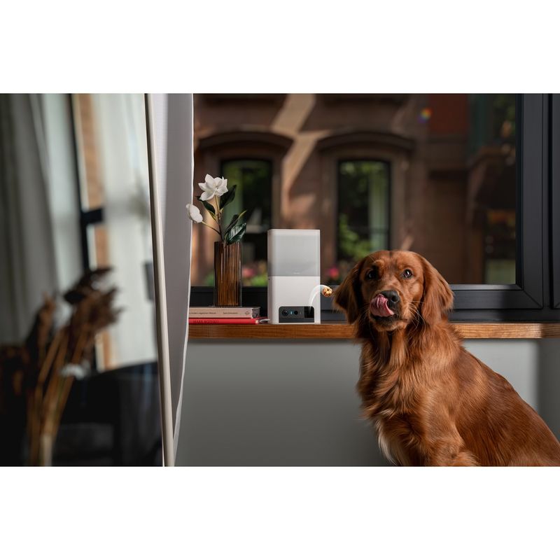 petcube-bites-2-lite-telecamera-di-sorveglianza-interattiva-10186855--6-.jpg