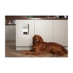 petcube-bites-2-lite-telecamera-di-sorveglianza-interattiva-10186855--8-.jpg