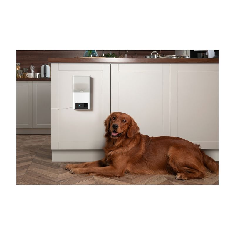 petcube-bites-2-lite-telecamera-di-sorveglianza-interattiva-10186855--8-.jpg