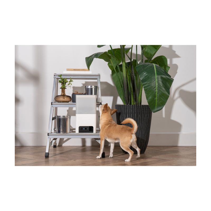 petcube-bites-2-lite-telecamera-di-sorveglianza-interattiva-10186855--9-.jpg