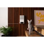 petcube-bites-2-lite-telecamera-di-sorveglianza-interattiva-10186855--12-.jpg