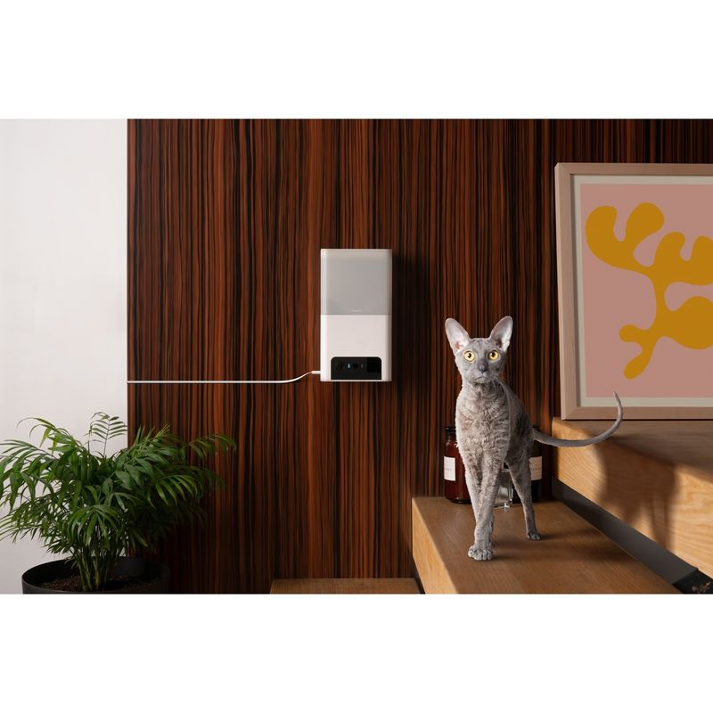 petcube-bites-2-lite-telecamera-di-sorveglianza-interattiva-10186855--12-.jpg