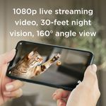 petcube-bites-2-lite-telecamera-di-sorveglianza-interattiva-10186855--5-.jpg