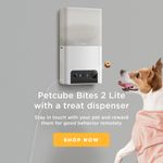 petcube-bites-2-lite-telecamera-di-sorveglianza-interattiva-10186855--13-.jpg