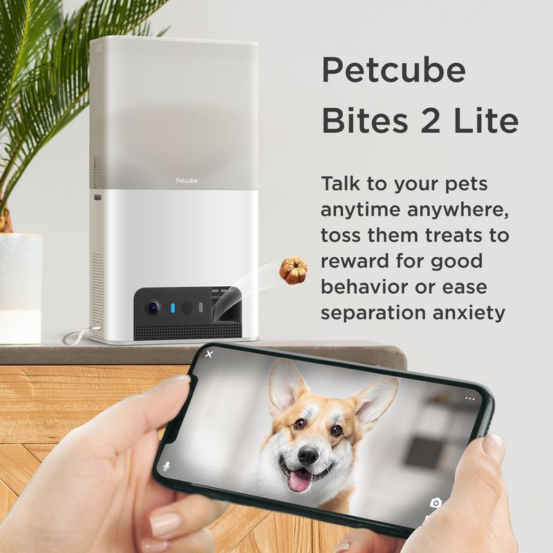 petcube-bites-2-lite-telecamera-di-sorveglianza-interattiva-10186855--14-.jpg
