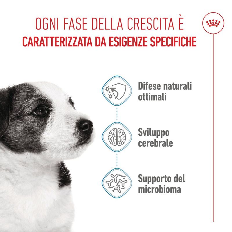 Royal-Canin-Mini-Puppy-Alimento-completo-per-cuccioli-di-taglia-piccola-Fino-a-10-mesi-di-eta-1..jpg