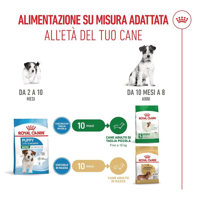 Royal-Canin-Mini-Puppy-Alimento-completo-per-cuccioli-di-taglia-piccola-Fino-a-10-mesi-di-eta-5.jpg