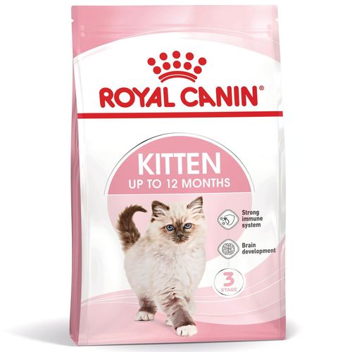 Royal Canin Kitten Alimento completo per gattini fino a 12 mesi di età