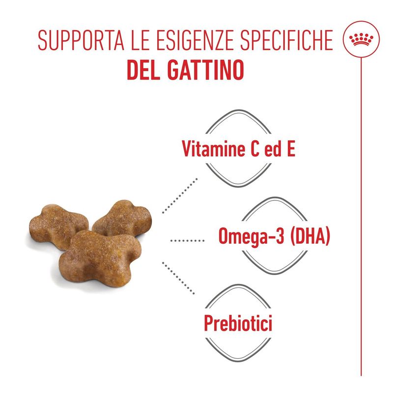 Royal-Canin-Kitten-Alimento-completo-per-gattini-fino-a-12-mesi-di-eta-2..jpg