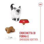 Royal-Canin-Kitten-Alimento-completo-per-gattini-fino-a-12-mesi-di-eta-3.jpg