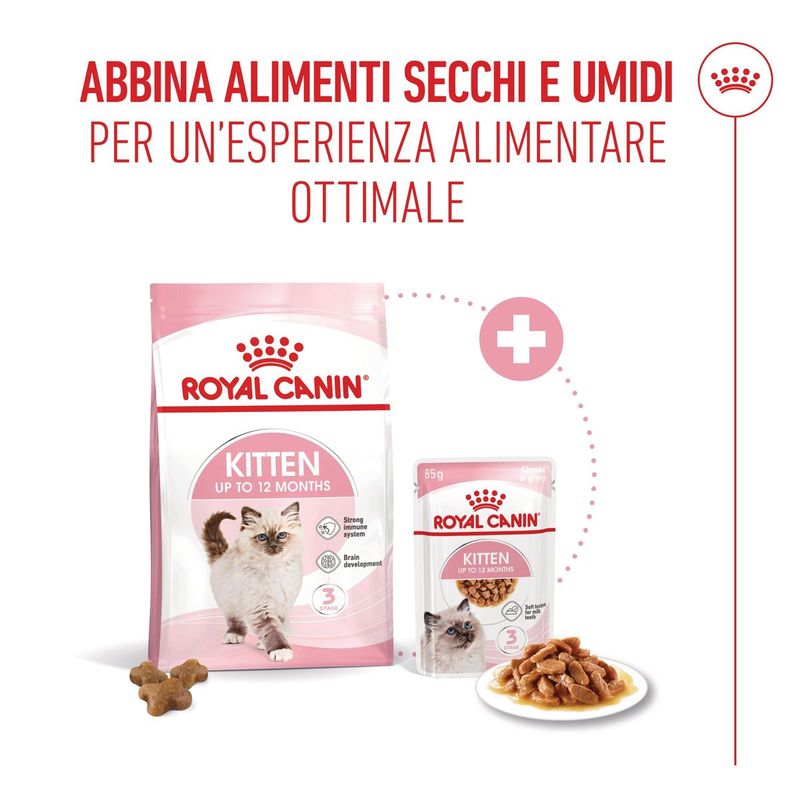 Royal-Canin-Kitten-Alimento-completo-per-gattini-fino-a-12-mesi-di-eta-4.jpg