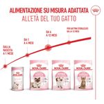 Royal-Canin-Kitten-Alimento-completo-per-gattini-fino-a-12-mesi-di-eta-5.jpg
