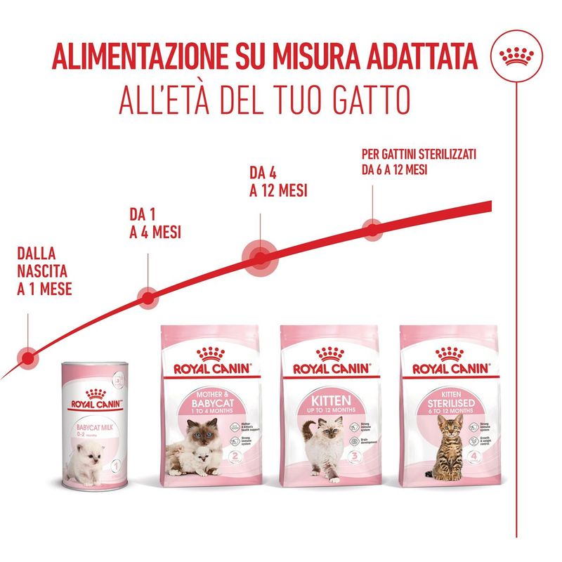 Royal-Canin-Kitten-Alimento-completo-per-gattini-fino-a-12-mesi-di-eta-5.jpg