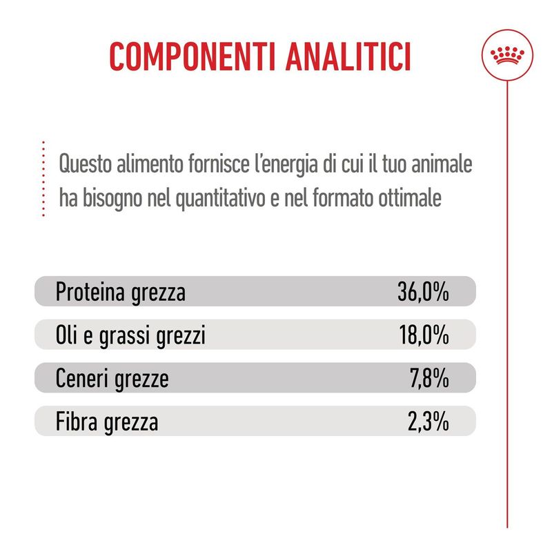Royal-Canin-Kitten-Alimento-completo-per-gattini-fino-a-12-mesi-di-eta-8.jpg