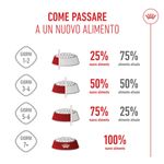 Royal-Canin-Kitten-Alimento-completo-per-gattini-fino-a-12-mesi-di-eta-.9.jpg