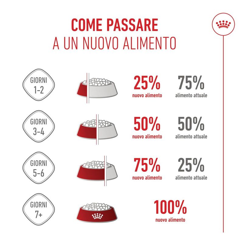Royal-Canin-Kitten-Alimento-completo-per-gattini-fino-a-12-mesi-di-eta-.9.jpg