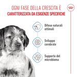 Royal-Canin-Medium-Puppy-Alimento-completo-per-cuccioli-di-taglia-media-Fino-a-12-mesi-di-eta-1..jpg