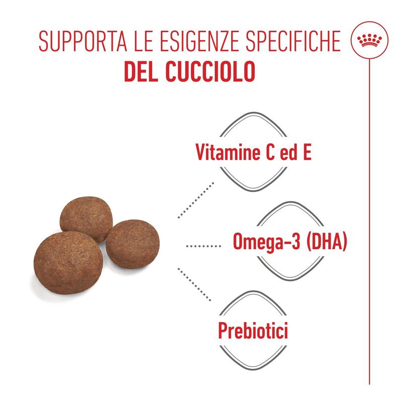 Royal-Canin-Medium-Puppy-Alimento-completo-per-cuccioli-di-taglia-media-Fino-a-12-mesi-di-eta-2..jpg