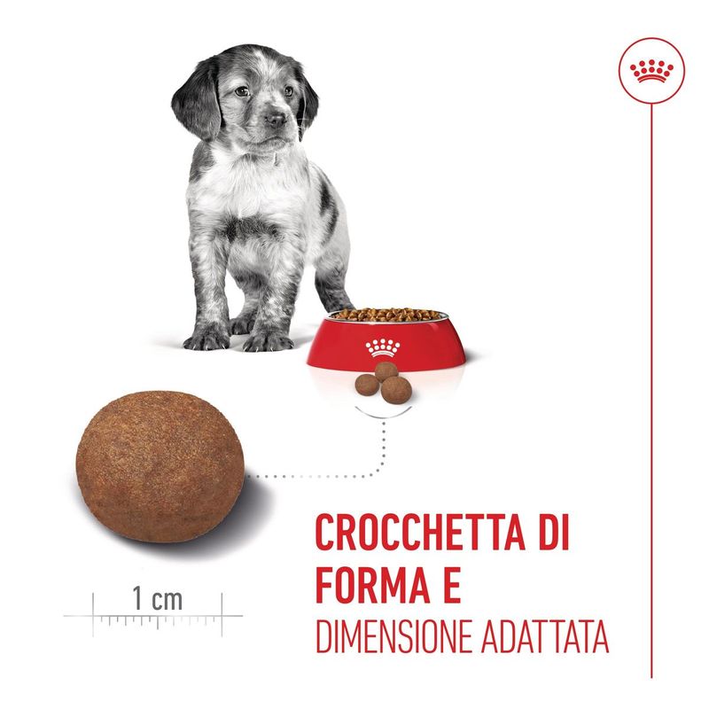 Royal-Canin-Medium-Puppy-Alimento-completo-per-cuccioli-di-taglia-media-Fino-a-12-mesi-di-eta-3.jpg