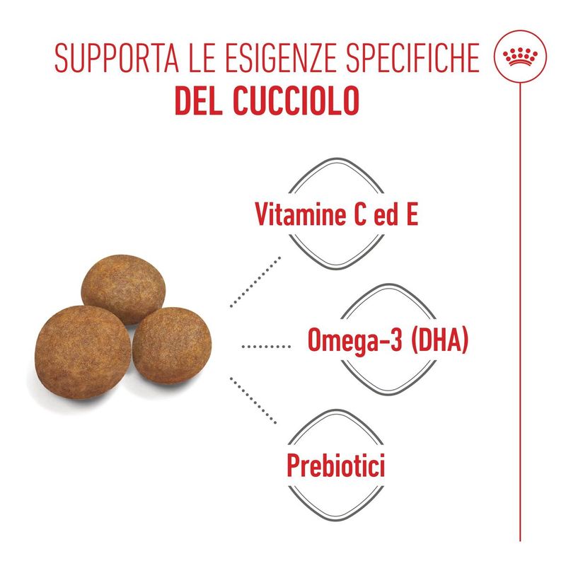 Royal-Canin-Maxi-Puppy-Alimento-completo-per-cuccioli-di-taglia-grande-Fino-a-15-mesi-di-eta-2..jpg