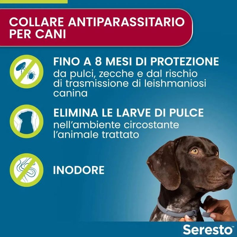 kit-risparmio-seresto-collare-4pz--fino-e-oltre-8kg1000000000997-4.jpg