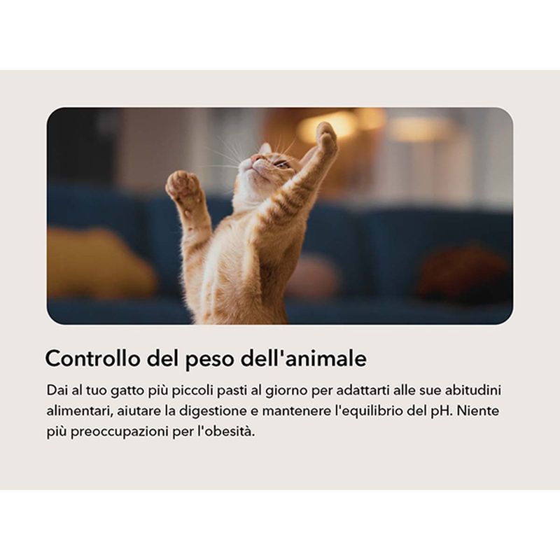 petlibro-air-distributore-cibo-automatico-nero-10186852--7- -4-.jpg