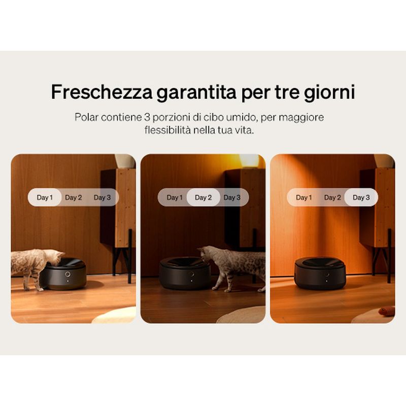 petlibro-polar-distributore-cibo-umido-automatico-nero--7- -3-.jpg