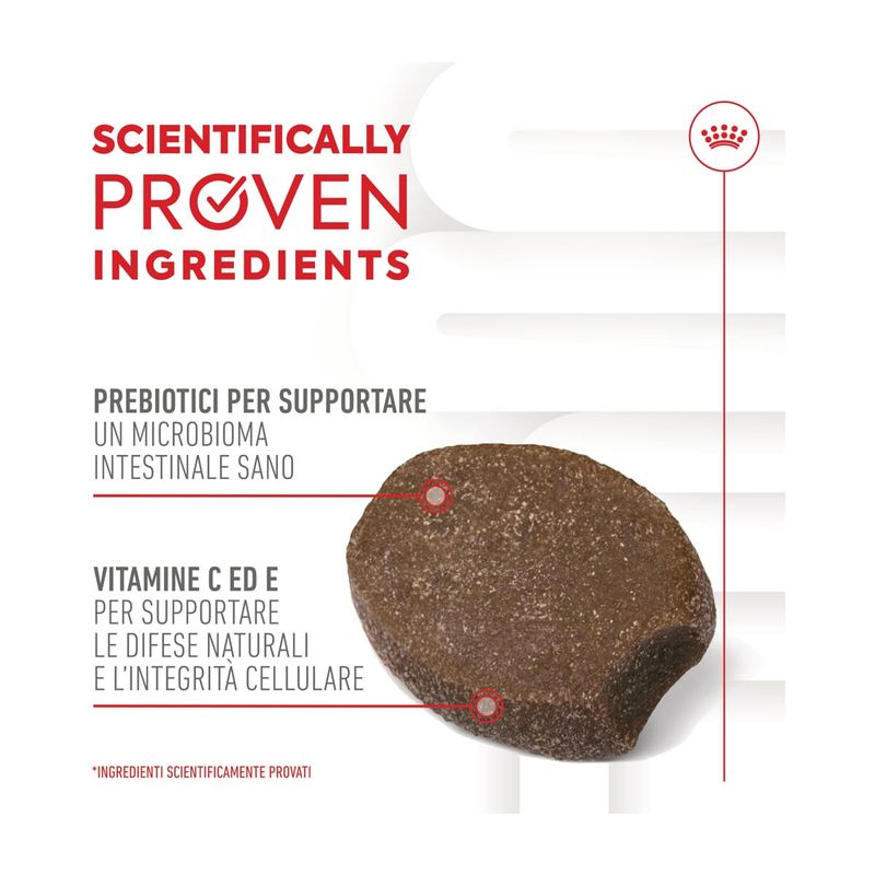 royal-canin-puppy-immunity-and-digestion-chews-10186827--3-.jpg