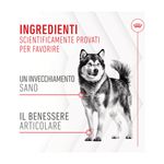 royal-canin-adult-joint-and-ageing-chews-10186830 -4-.jpg