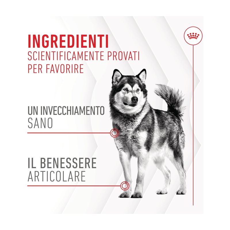 royal-canin-adult-joint-and-ageing-chews-10186830 -4-.jpg
