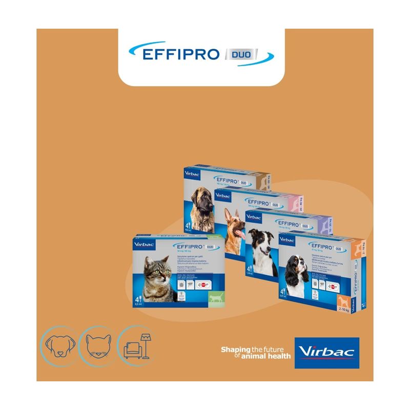 ciam-virbac-effipro-duo-antiparassitario-spot-on-gatto-4-pipette-10155490--3-.jpg