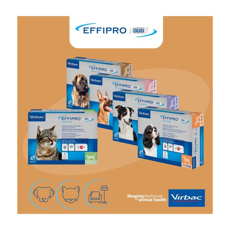 ciam-virbac-effipro-duo-antiparassitario-spot-on-gatto-4-pipette-10155490--4-.jpg