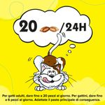 Catisfactions-Snack-Gatto-Mega-Tub-al-Formaggio-350G-1000000001020-3.jpg