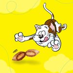 Catisfactions-Snack-Gatto-Mega-Tub-al-Formaggio-350G-1000000001020-5.jpg