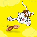 Kit-Risparmio-3x60G-Catisfactions-Snack-Gatto-1000000001067-5.jpg