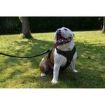 croci-pettorina-cane-bobby-rando-walk-nero10176244-3.jpg